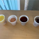 y4-egg-experiement-2