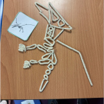 y6-dinosaur-making