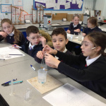 BD-SCIENCE-4