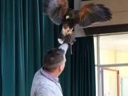 birdtalk-007