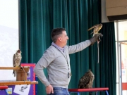birdtalk-008