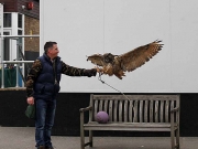birdtalk-016