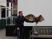 birdtalk-017