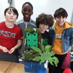 Year-5-bug-hotel-23-1