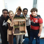 Year-5-bug-hotel-23-4
