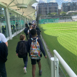 cricket-25