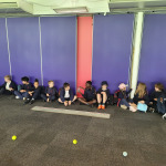 cricket-3