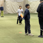 cricket11