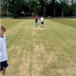 1_cricket-4