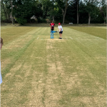 1_cricket-7