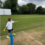 cricket-1