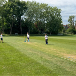 cricket-7