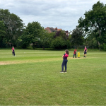 cricket-10