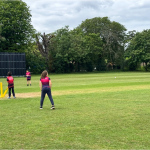 cricket-11