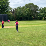 cricket-12