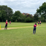 cricket-2