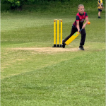cricket-3