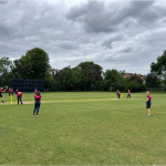 cricket-5
