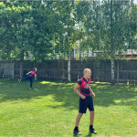 cricket-6