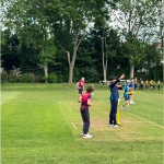 cricket-7