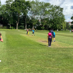 cricket-8