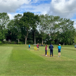 cricket-9