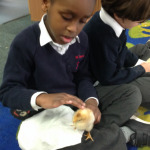 rec-science-week
