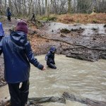 Hindleap-5