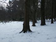 hindleap-warren-334