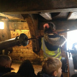 Y2-GOLDEN-HINDE-5