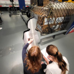 raf-stem-8
