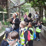 ZOO-1