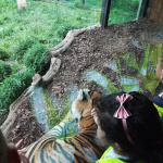 ZOO-15