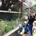 ZOO-2