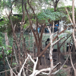 ZOO-4