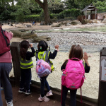 ZOO-6