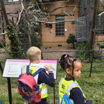 ZOO-9