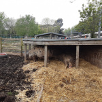 FARM-1