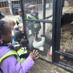 FARM-11