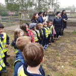 FARM-14
