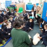 REC-ANIMALS-10