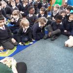 REC-ANIMALS-11