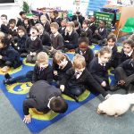 REC-ANIMALS-12