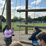 y6-12