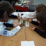 Science-Week-11