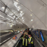 TFL-13