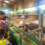 farm-2