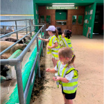 farm-8