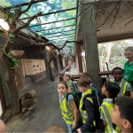 zoo-10