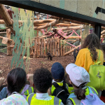 zoo-15